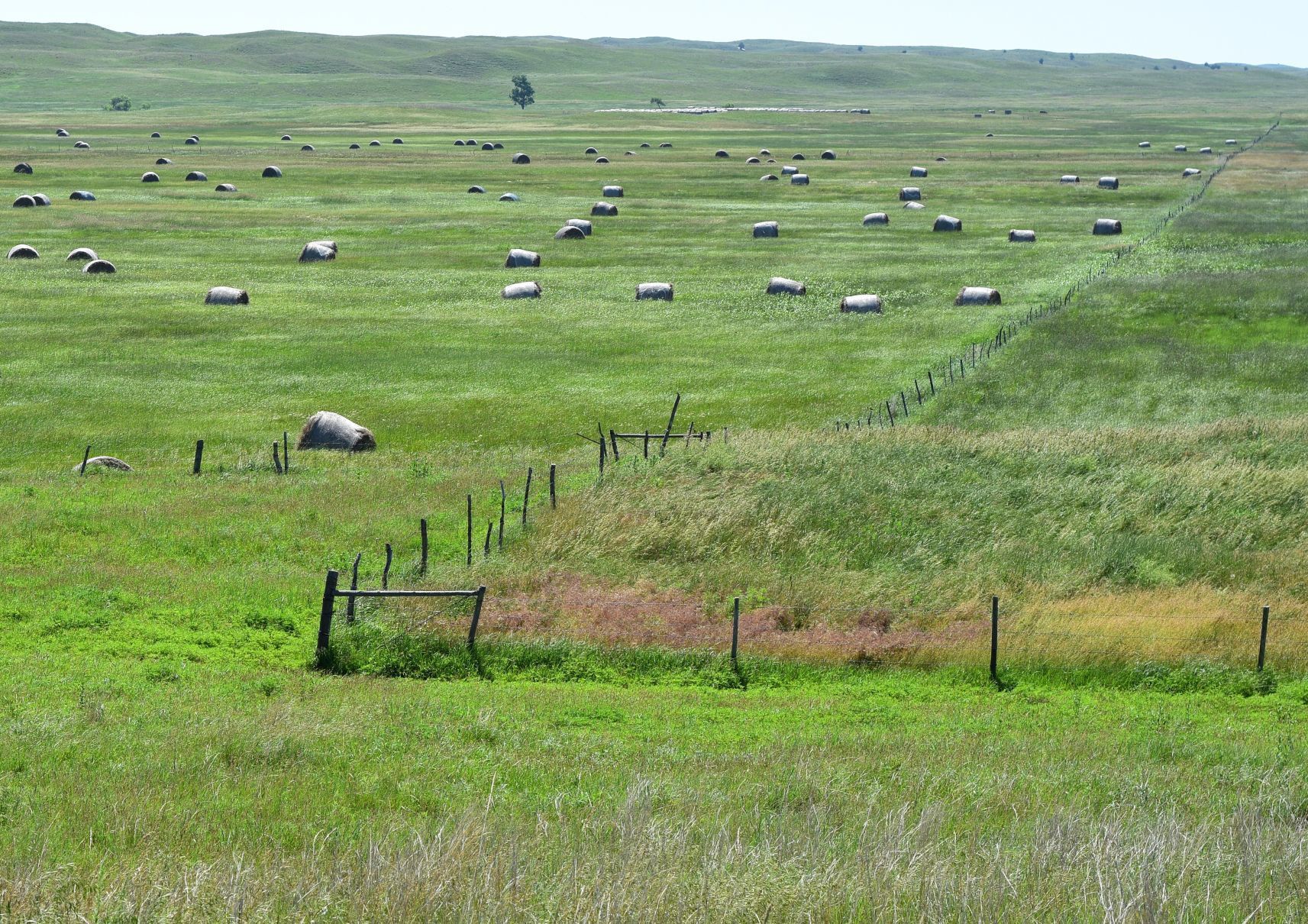 20190714_new_sandhills_pic6